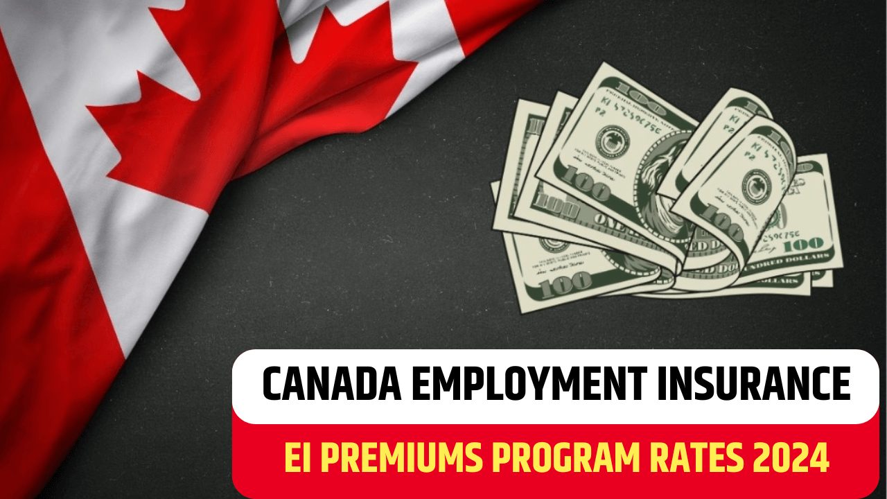 Canada EI Payment July 2024